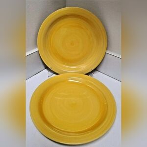 Citrus Grove Yellow Brush Stroke Hand Painted Dinner Plates Set of 2